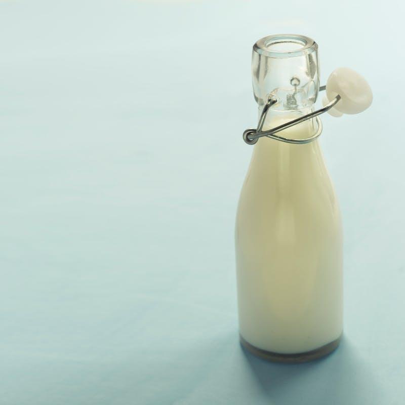 Sữa Các Loại 4